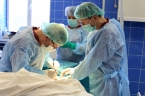 В Мурманском многопрофильном центре имени Н.И. Пирогова ФМБА России оперируют с использованием новых имплантатов